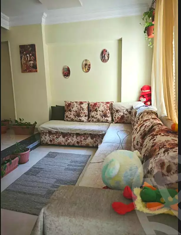 https://aqarmap.com.eg/en/listing/7257305-for-sale-cairo-helwan-zou-el-fekar-basha-st