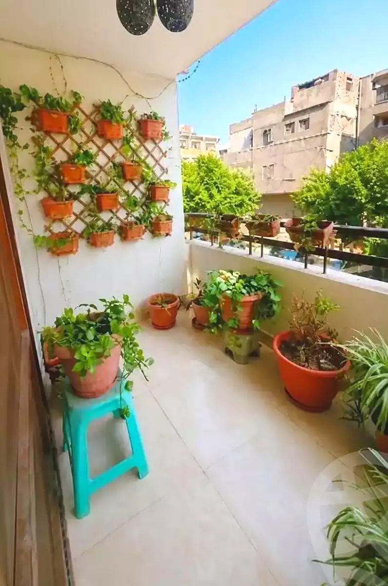 https://aqarmap.com.eg/en/listing/7257871-for-sale-cairo-helwan-zou-el-fekar-basha-st
