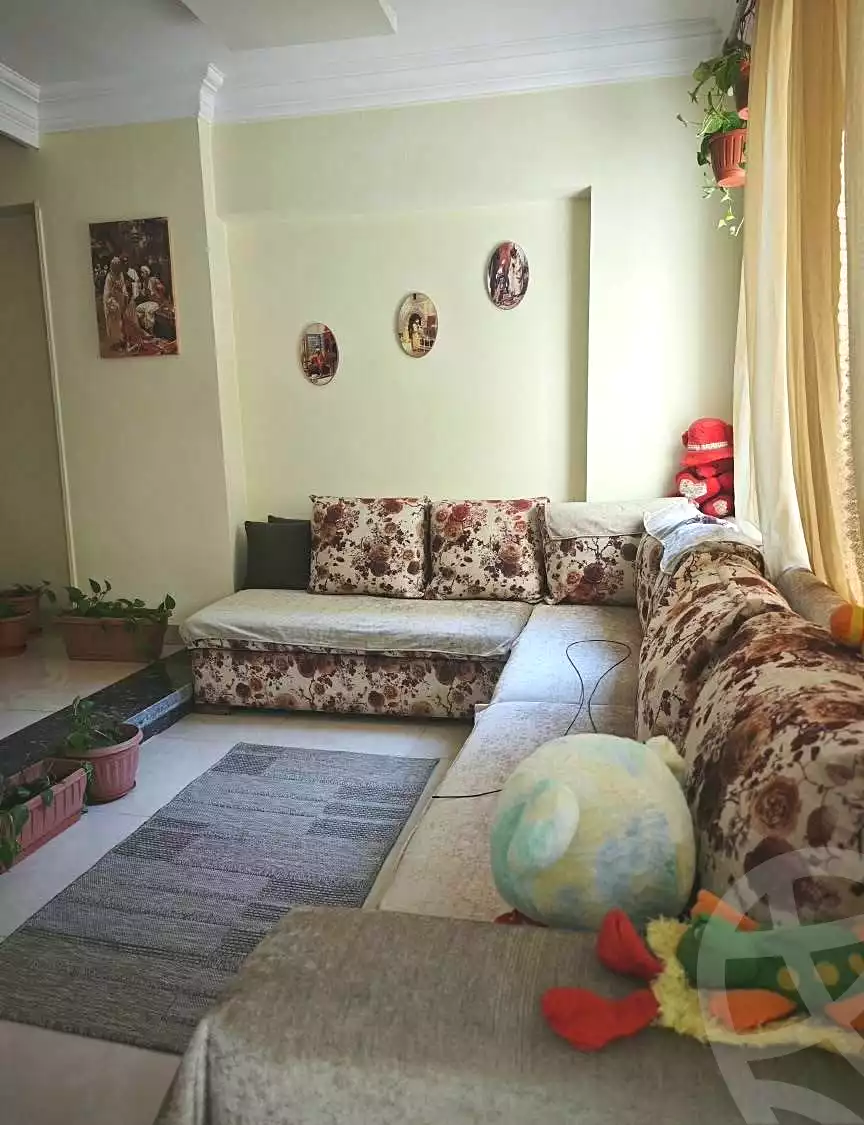 https://aqarmap.com.eg/en/listing/7260074-for-sale-cairo-helwan-zou-el-fekar-basha-st