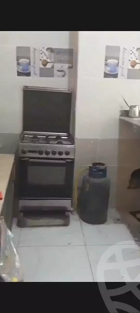 https://aqarmap.com.eg/en/listing/7261009-for-rent-cairo-faisal