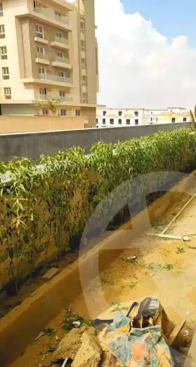 شقة بـ٣ غرف نوم في ماونتن فيو أي سيتي أكتوبر، صورة ٧ من ٧