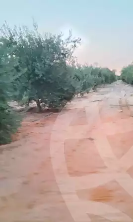 https://aqarmap.com.eg/en/listing/7261846-for-sale-beheira-wadi-el-natrun