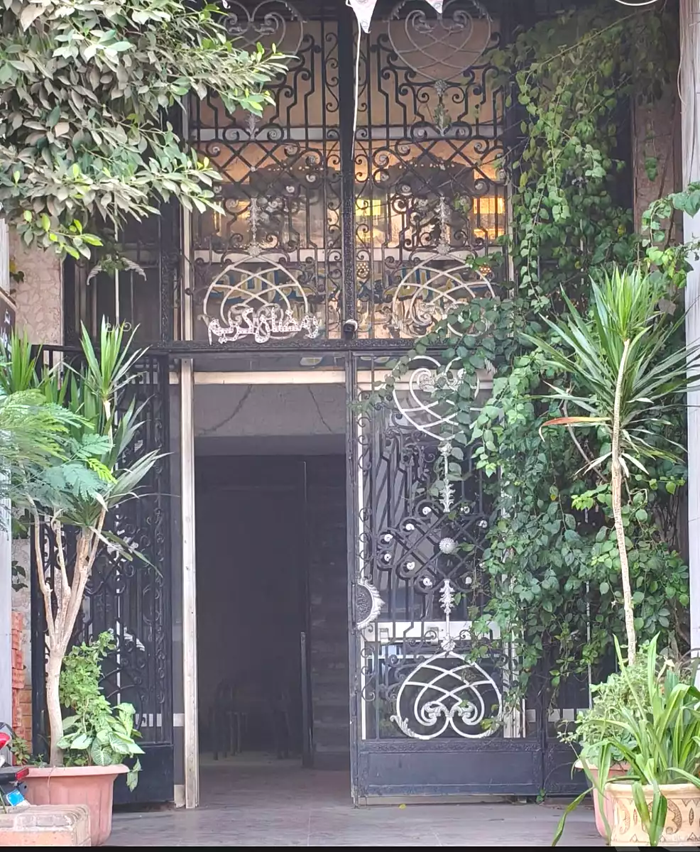 https://aqarmap.com.eg/en/listing/5999847-for-rent-cairo-downtown