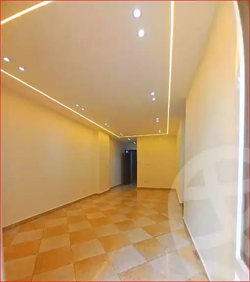 https://aqarmap.com.eg/ar/listing/7266471-for-sale-alexandria-miami-45-street