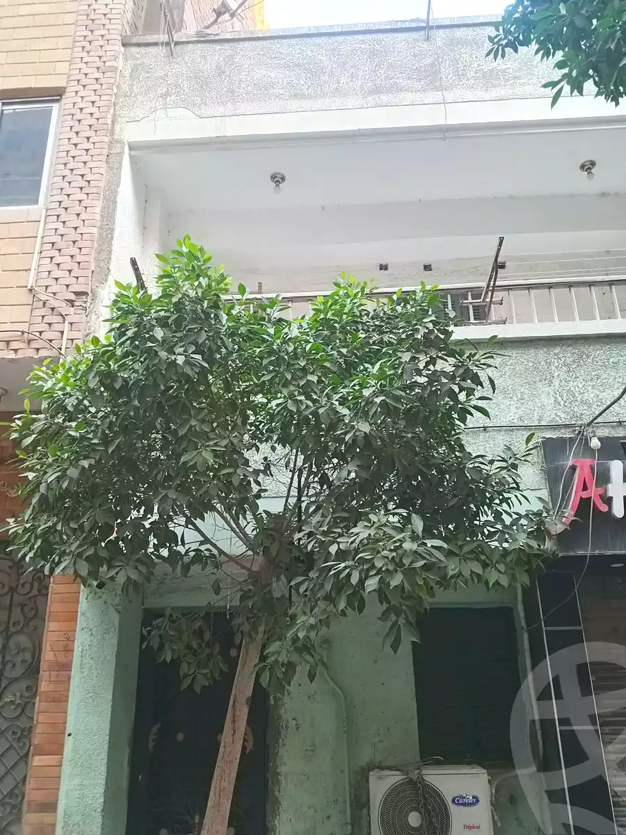 https://aqarmap.com.eg/en/listing/7266489-for-sale-cairo-ain-shams-mnshy-lthryr