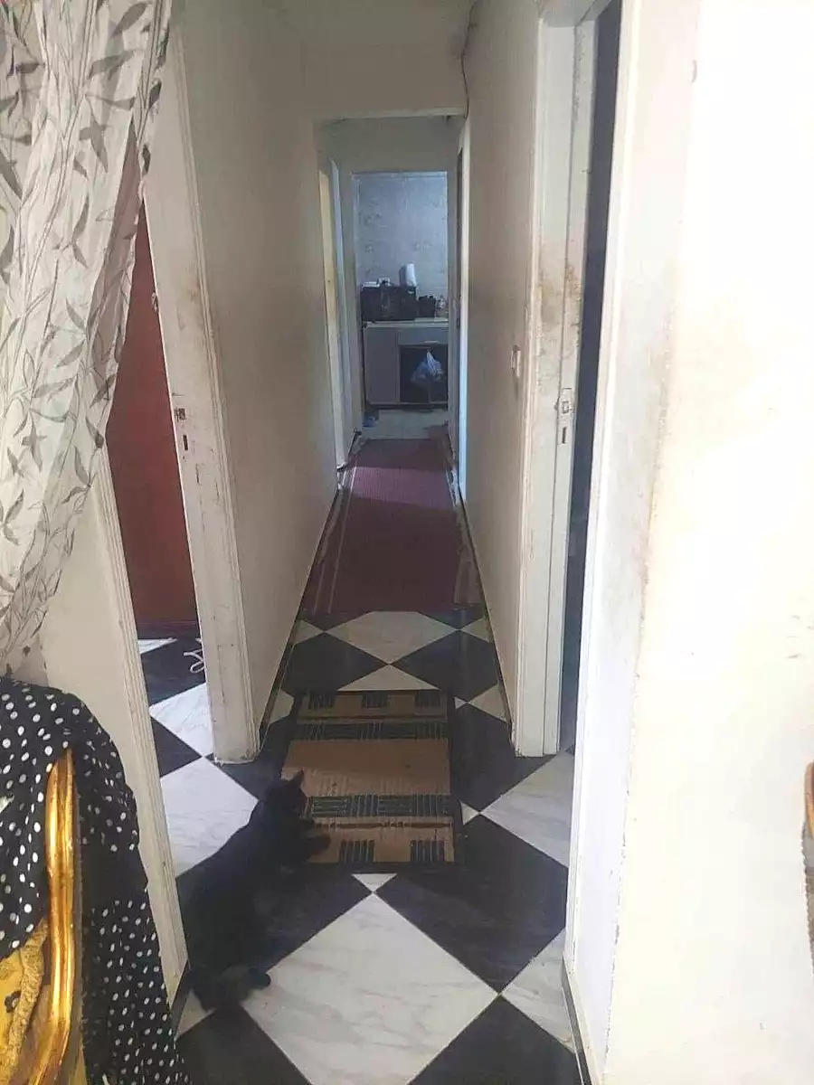 https://aqarmap.com.eg/en/listing/7267593-for-sale-alexandria-lsywf-gamila-abu-herid-st