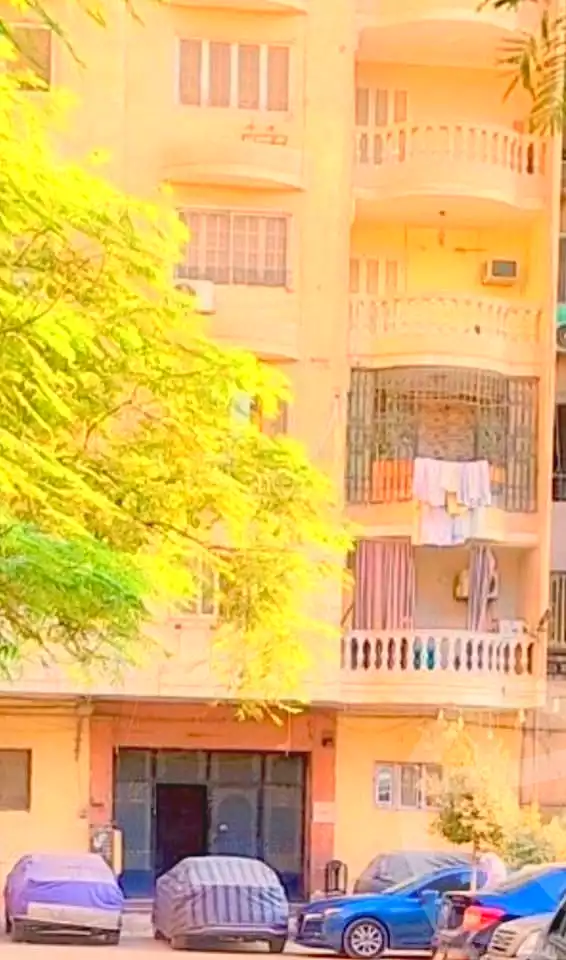 https://aqarmap.com.eg/en/listing/7271053-for-sale-cairo-faisal-el-matbeaa-amr-ibn-al-aas-st