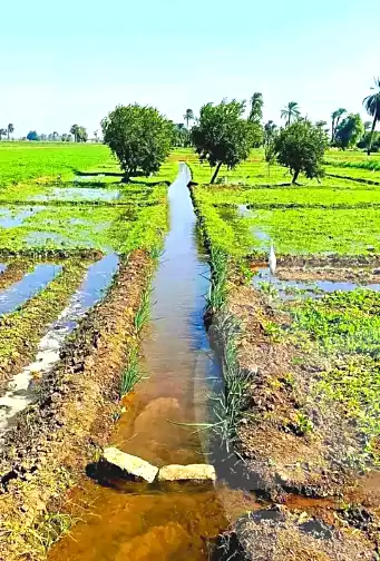 https://aqarmap.com.eg/en/listing/7273554-for-sale-el-fayoum-tamiya