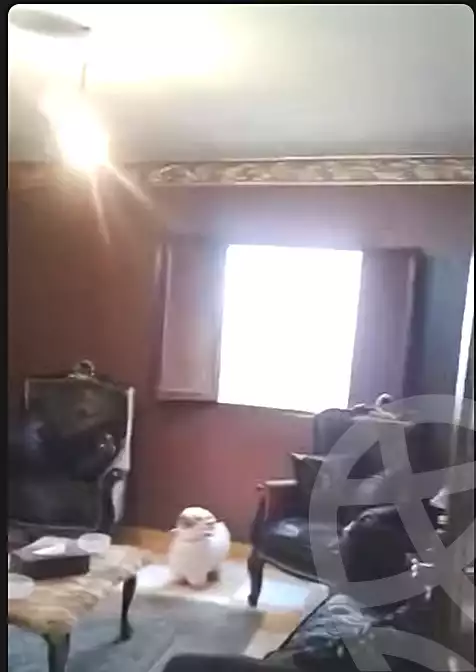 https://aqarmap.com.eg/en/listing/7273833-for-sale-cairo-ain-shams