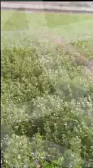 https://aqarmap.com.eg/en/listing/7276139-for-sale-ismailia-abu-sweer