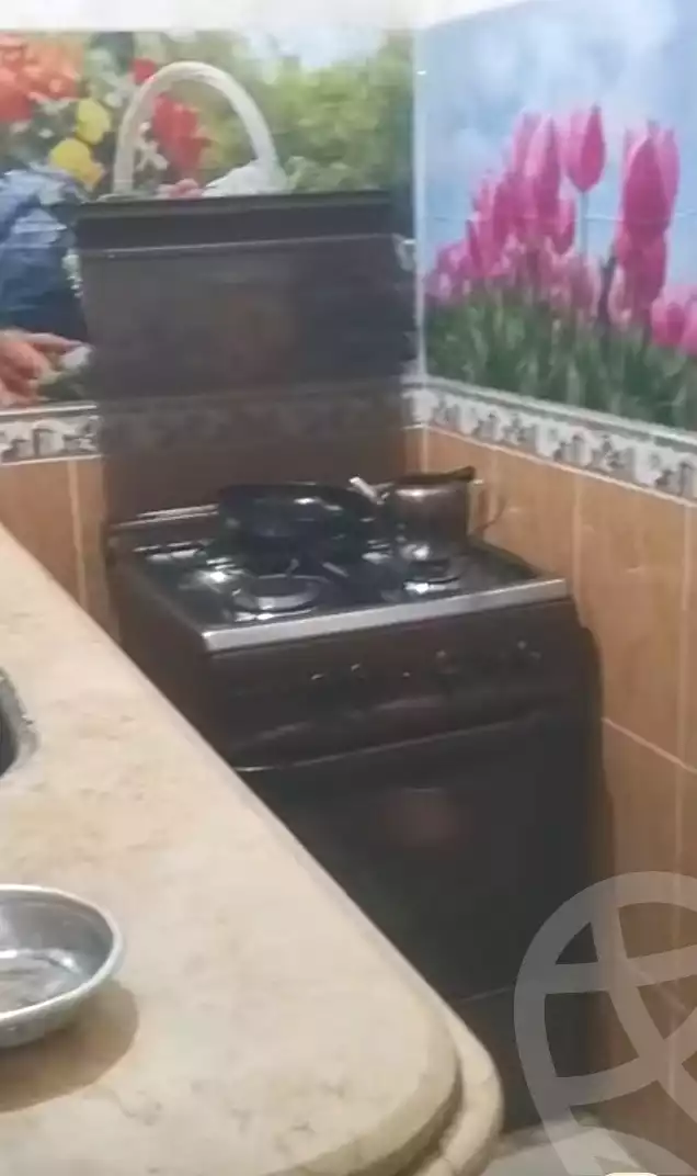 https://aqarmap.com.eg/ar/listing/7276835-for-sale-alexandria-sydy-bshr-sydy-bshr-bhry-shr-mhmwd-l-yswy