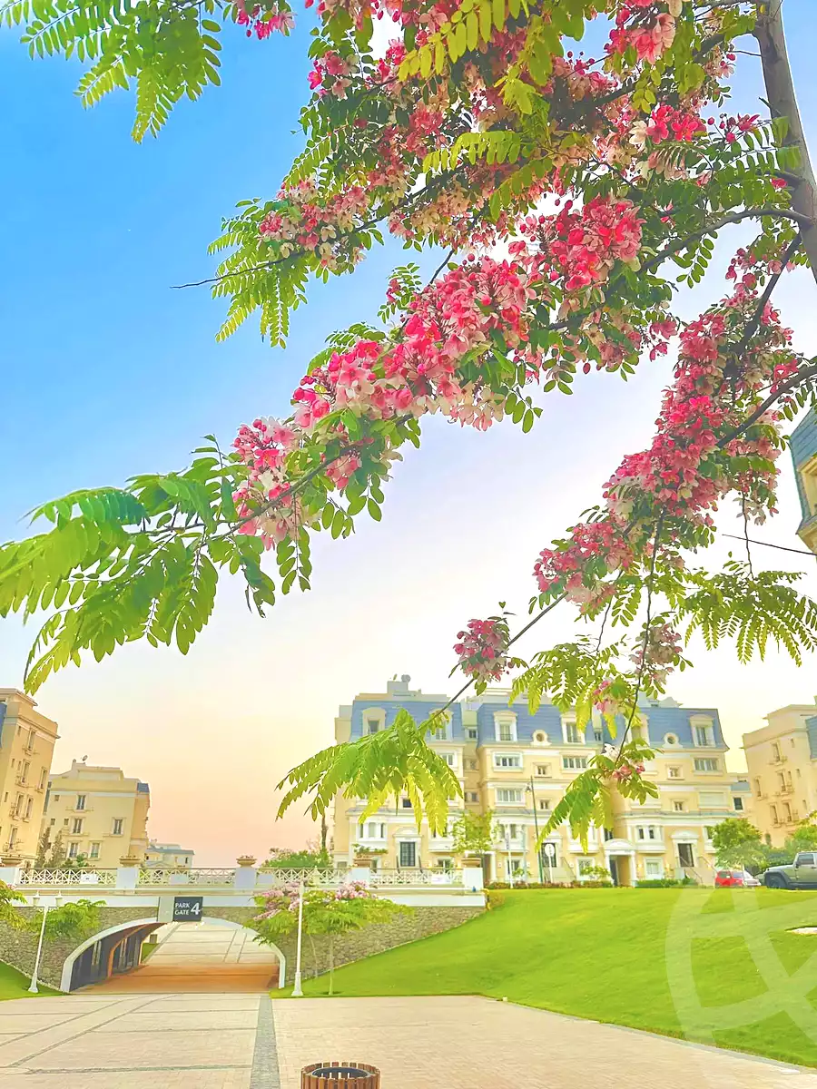 https://aqarmap.com.eg/ar/listing/7277238-for-sale-cairo-new-cairo-compounds-mountain-view1-1-compound