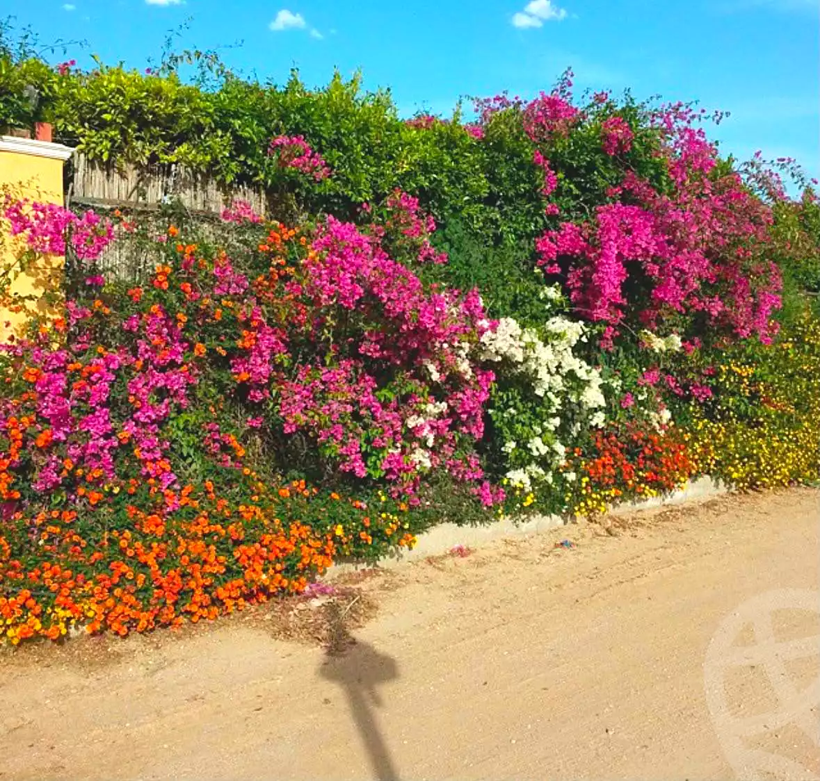 3 BR Villa in Sandorini, photo 9 of 9