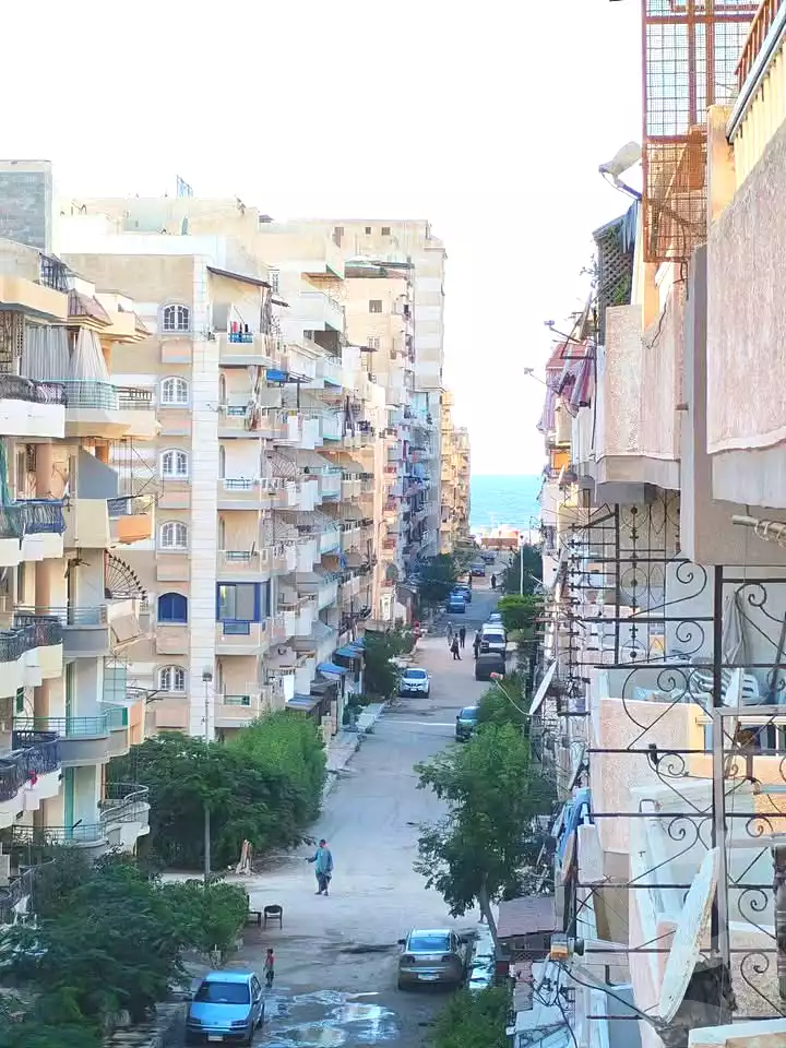 https://aqarmap.com.eg/ar/listing/7278405-for-sale-alexandria-al-agamy-shataa-el-nakheel-no-6-st