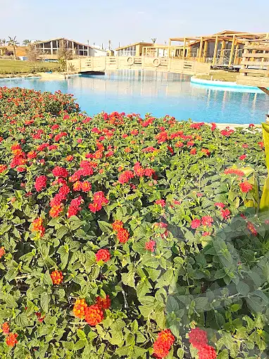 https://aqarmap.com.eg/en/listing/7281216-for-sale-cairo-new-cairo-6th-settlement-compounds-hyde-park-central-compound