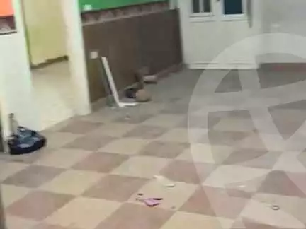 https://aqarmap.com.eg/ar/listing/7281751-for-sale-cairo-el-sayyeda-zeinab