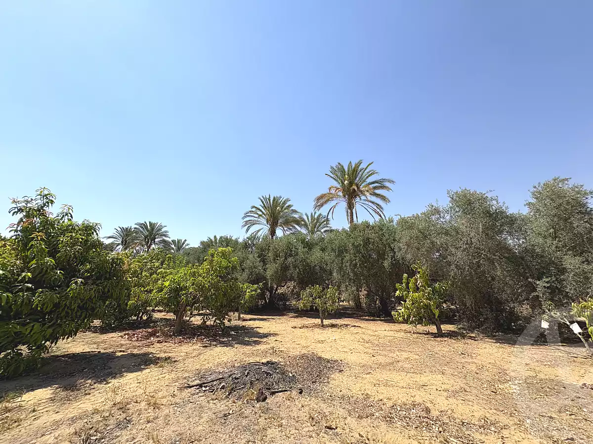 https://aqarmap.com.eg/ar/listing/7275622-for-sale-cairo-al-oubour-jm-y-rby-kht-4-jnwb