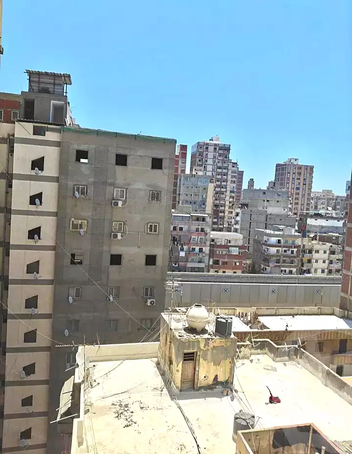 https://aqarmap.com.eg/ar/listing/7288941-for-sale-alexandria-miami