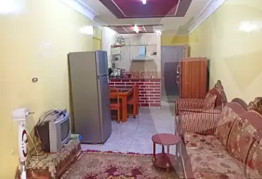 https://aqarmap.com.eg/en/listing/7289440-for-rent-alexandria-al-agamy-shataa-el-nakheel