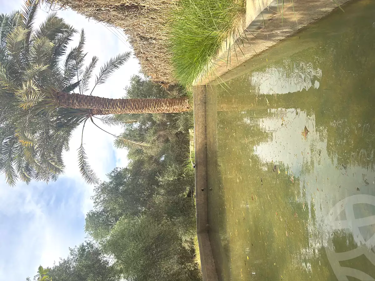 https://aqarmap.com.eg/ar/listing/7285602-for-sale-marsa-matruh-siwa-oasis-wahet-siwaa-city