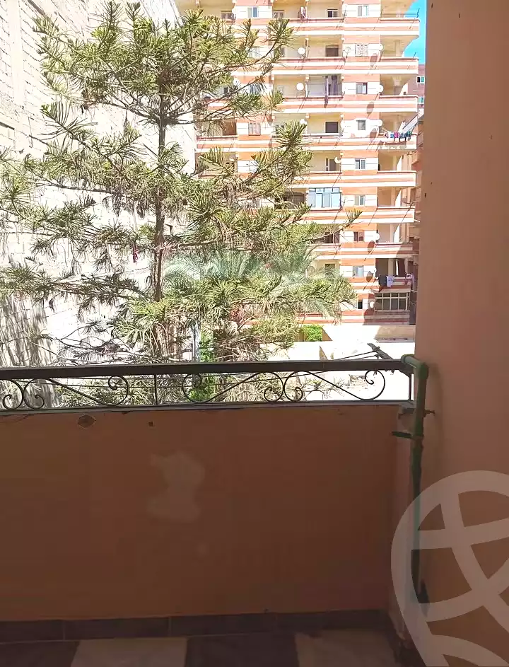 https://aqarmap.com.eg/en/listing/7292925-for-rent-alexandria-al-agamy-el-kilo-21