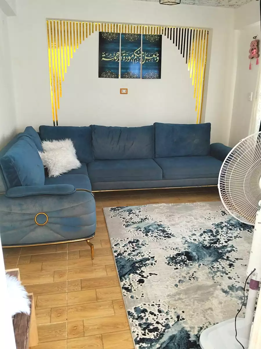 https://aqarmap.com.eg/ar/listing/7293113-for-sale-alexandria-al-agamy-shataa-el-nakheel-el-hag-saleh-st