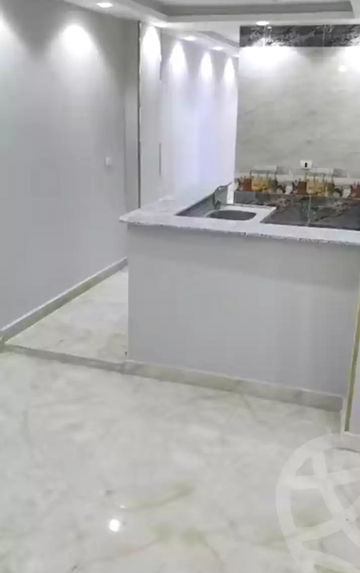 https://aqarmap.com.eg/en/listing/7293568-for-sale-cairo-faisal-el-lebeny