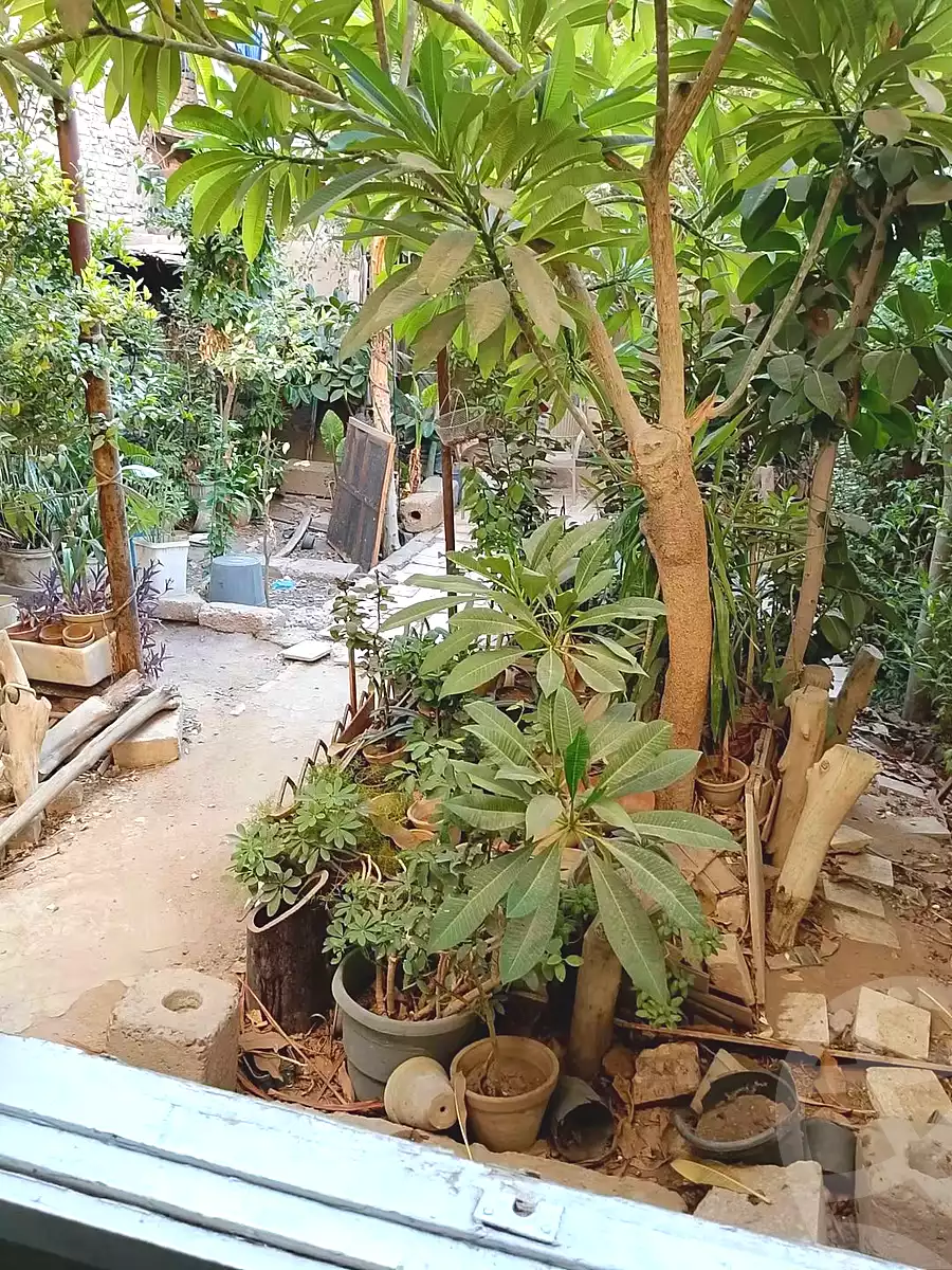 https://aqarmap.com.eg/en/listing/7293718-for-sale-cairo-el-matarya-shjr-mrym