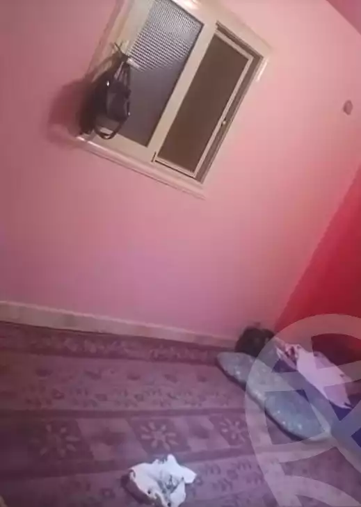 https://aqarmap.com.eg/en/listing/7296714-for-sale-cairo-faisal-el-arbaeen-st