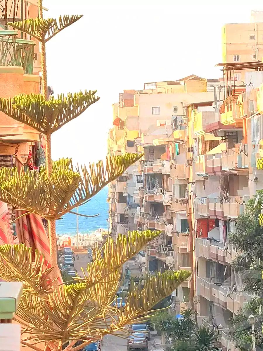 https://aqarmap.com.eg/en/listing/7298824-for-sale-alexandria-al-agamy-shataa-el-nakheel