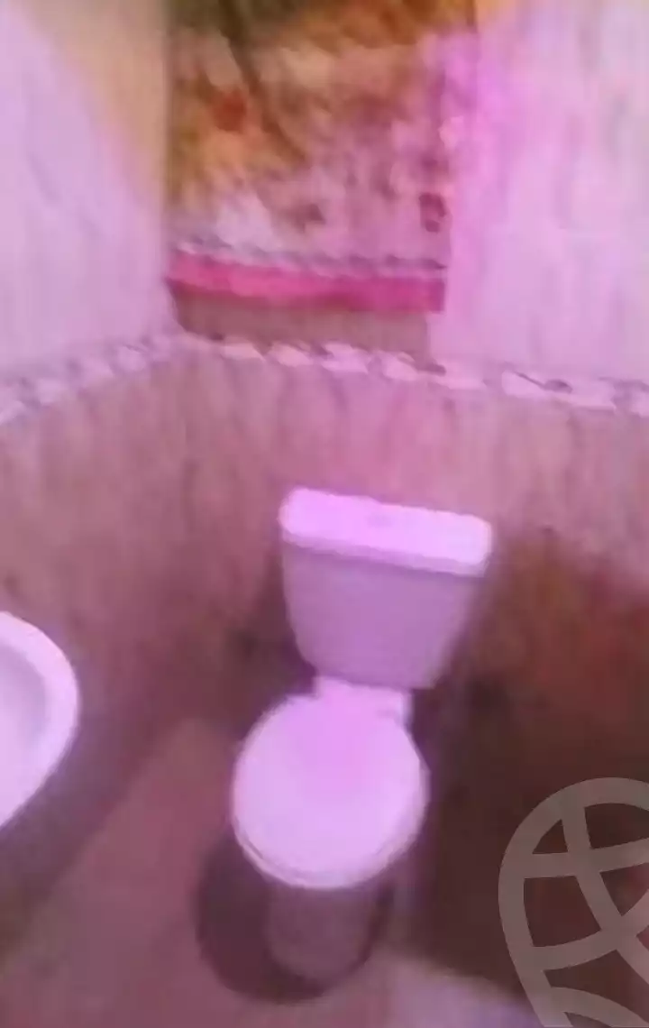 https://aqarmap.com.eg/ar/listing/7301962-for-rent-cairo-faisal-el-maryotyah-dr-lashin-st