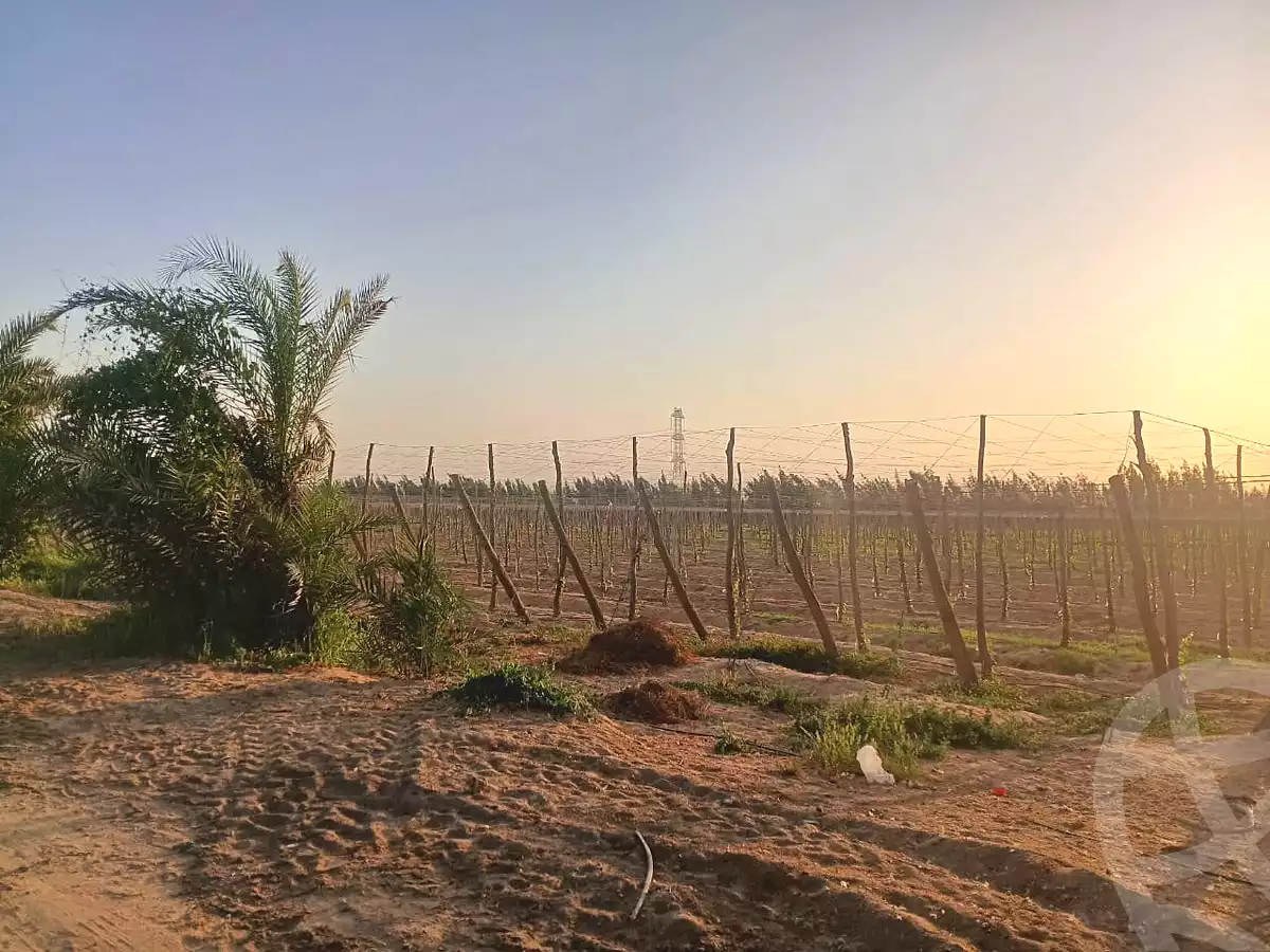 https://aqarmap.com.eg/ar/listing/7302074-for-sale-monufia-sadat-city-manteqat-el-2000-fadan