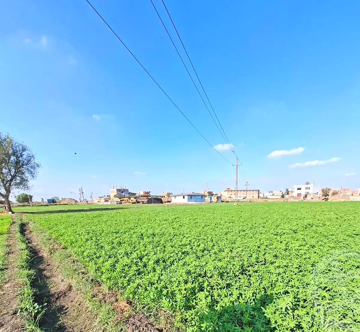 https://aqarmap.com.eg/en/listing/7304424-for-sale-sharqia-faqous-el-sawaleh