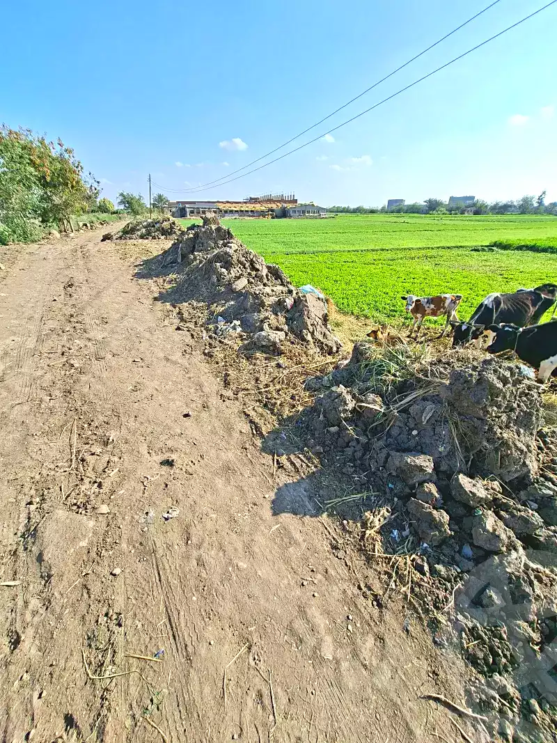 https://aqarmap.com.eg/en/listing/7304424-for-sale-sharqia-faqous-el-sawaleh