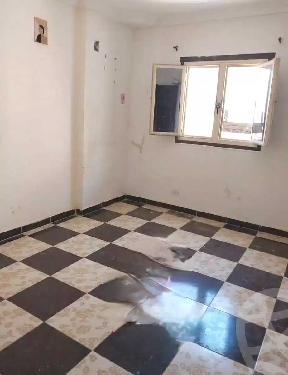 https://aqarmap.com.eg/en/listing/7305130-for-rent-alexandria-al-agamy-lbytsh-bianchiii