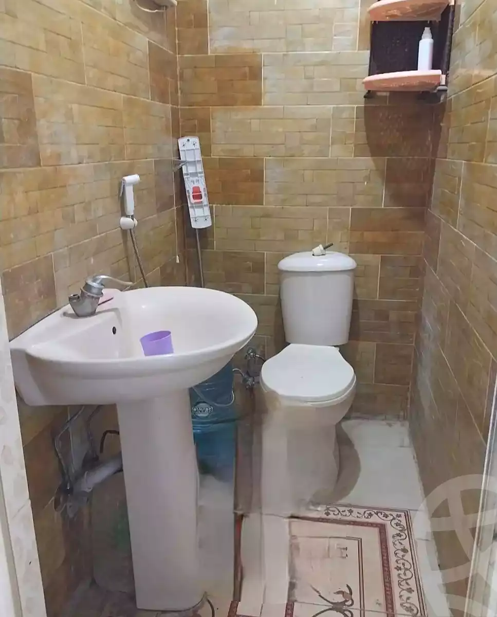 https://aqarmap.com.eg/en/listing/7305130-for-rent-alexandria-al-agamy-lbytsh-bianchiii