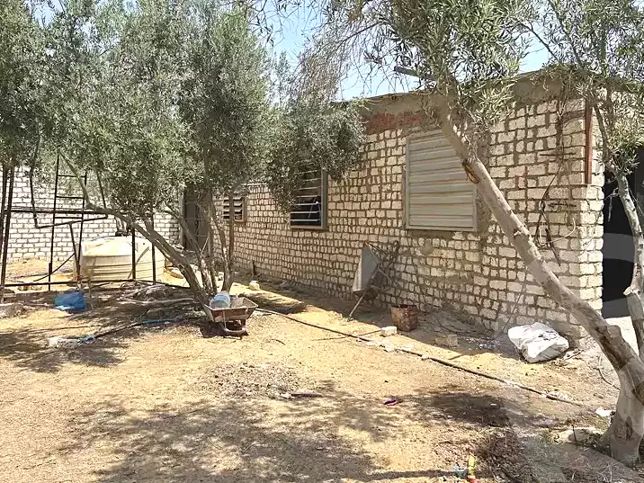 https://aqarmap.com.eg/ar/listing/7306331-for-rent-ismailia-ismailia-city-al-ismaileya-road-port-saeed-st