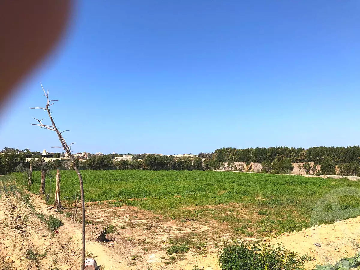 https://aqarmap.com.eg/en/listing/7306882-for-sale-alexandria-borg-el-arab-el-bahira-st