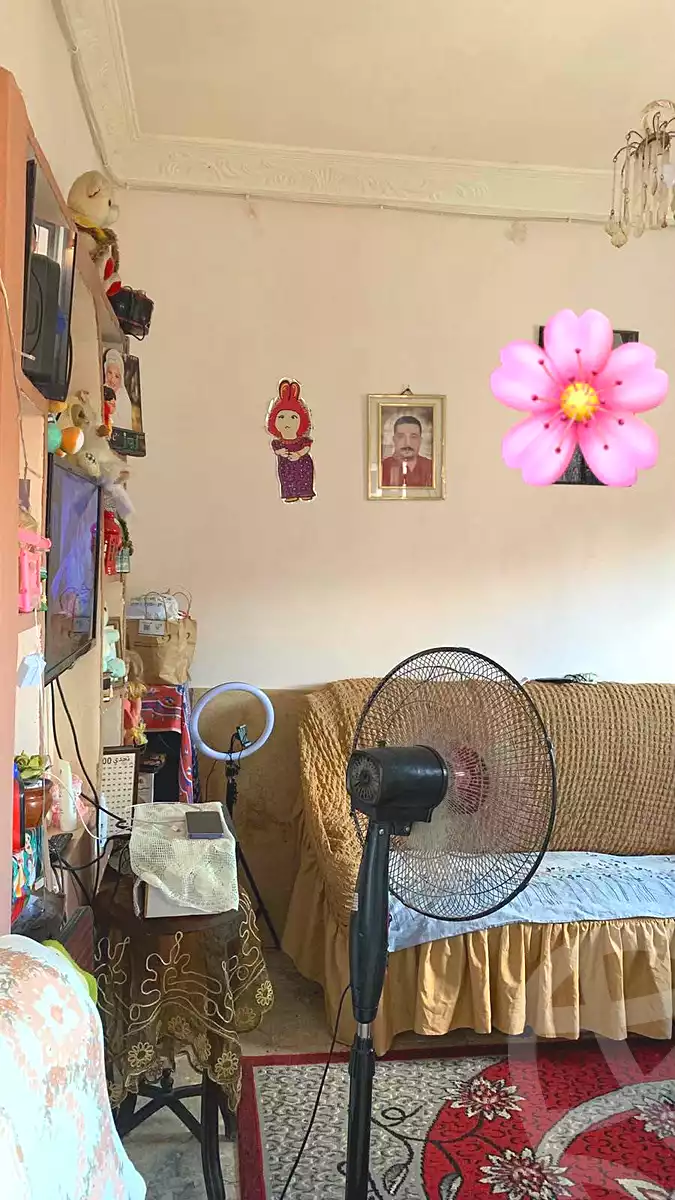 https://aqarmap.com.eg/ar/listing/7310650-for-sale-alexandria-rs-ltyn