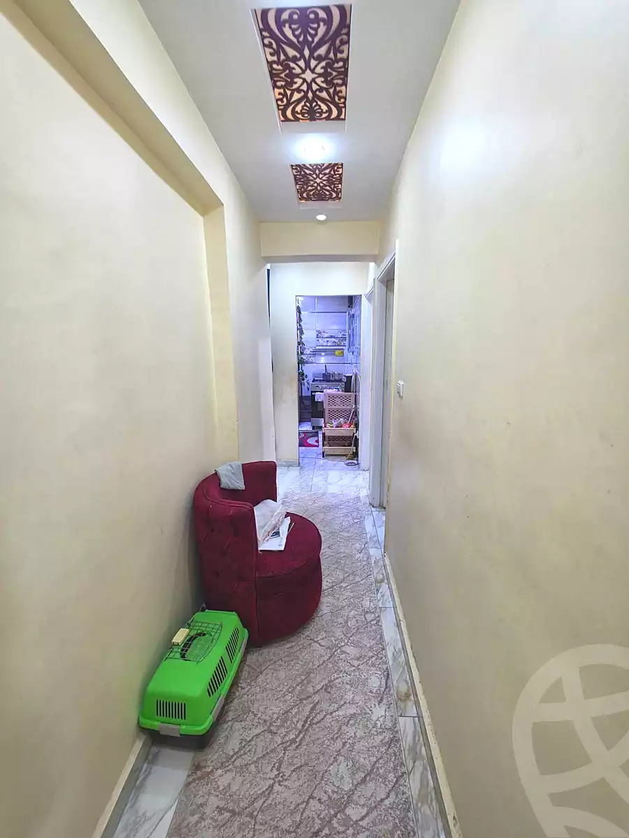 https://aqarmap.com.eg/ar/listing/7310874-for-sale-alexandria-miami-shr-jml-bd-lnsr
