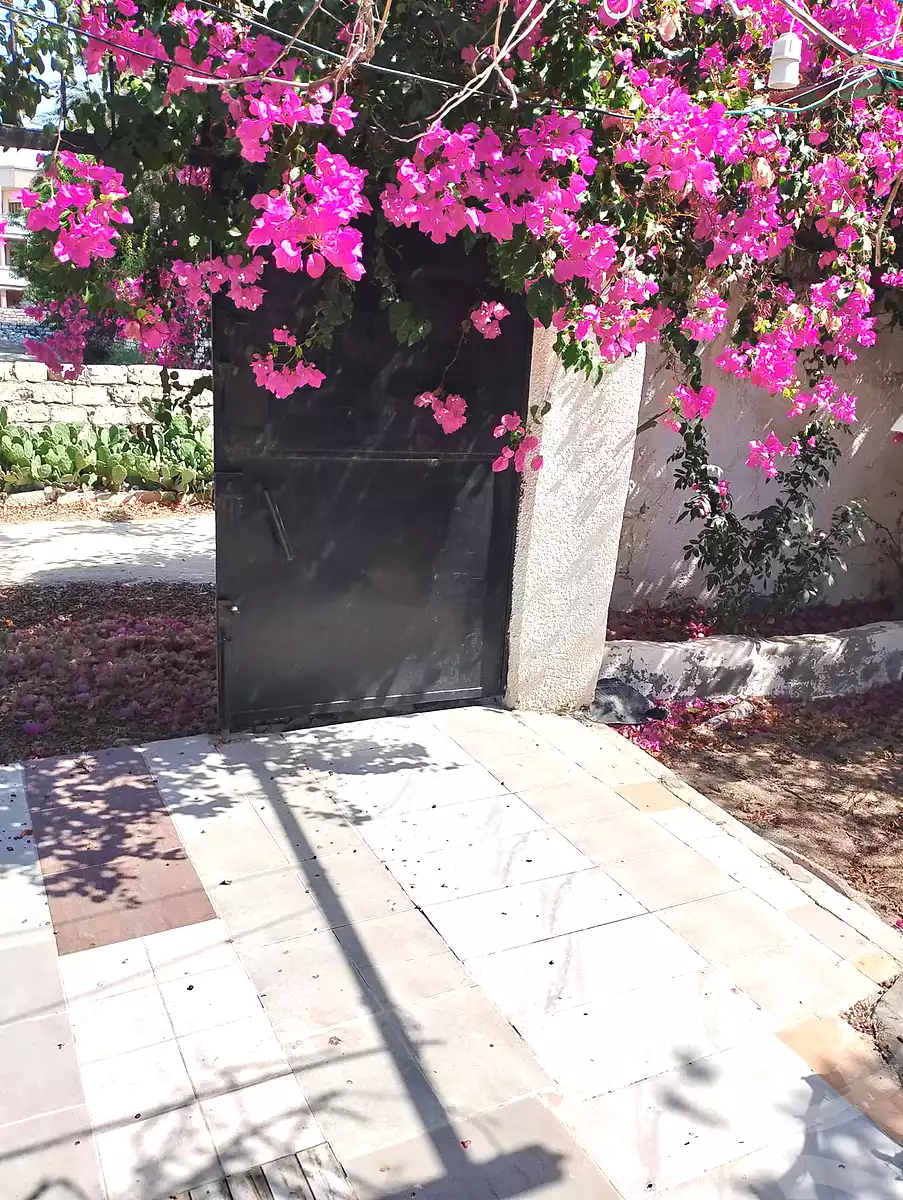 https://aqarmap.com.eg/ar/listing/7314705-for-sale-alexandria-abu-talat