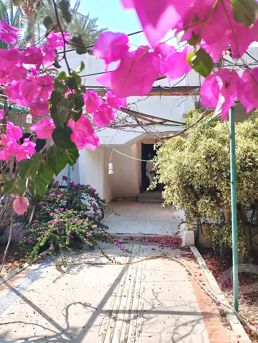 https://aqarmap.com.eg/ar/listing/7314705-for-sale-alexandria-abu-talat