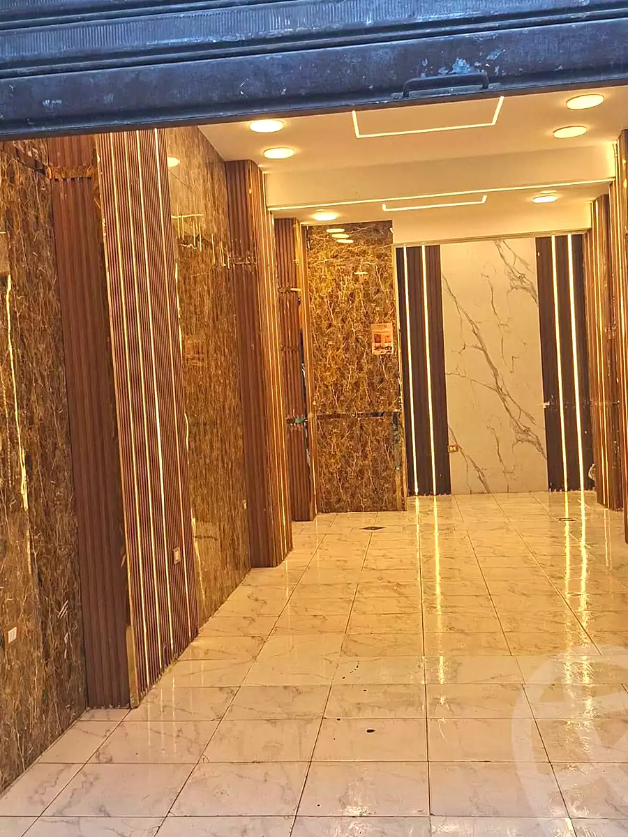 https://aqarmap.com.eg/ar/listing/7314755-for-rent-alexandria-bakoos-cinema-layla-st