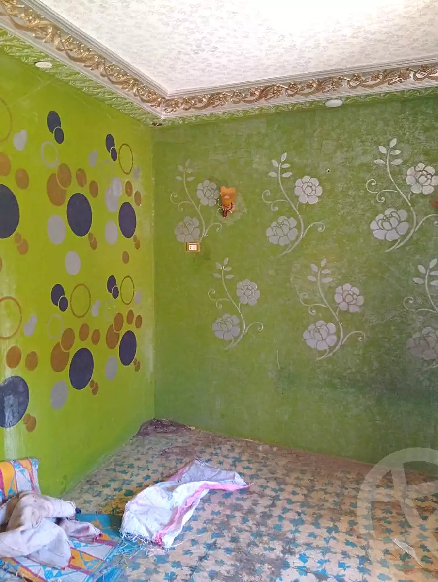 https://aqarmap.com.eg/en/listing/7317678-for-sale-alexandria-el-dekhela