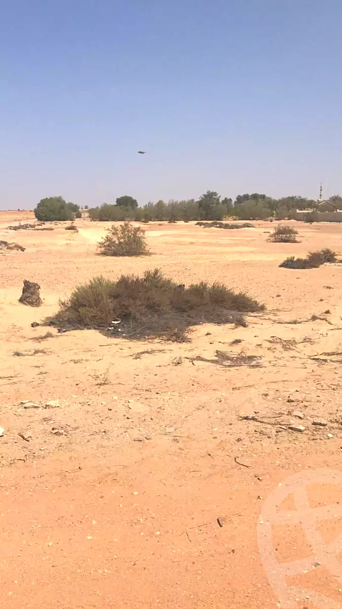 https://aqarmap.com.eg/ar/listing/7317951-for-sale-cairo-el-sheikh-zayed-city-lshykh-zyd-ljdyd-el-reef-el-oroby