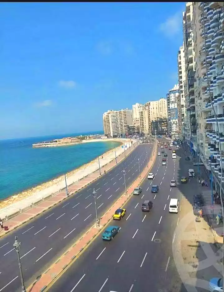 https://aqarmap.com.eg/en/listing/7319519-for-sale-alexandria-sydy-bshr-sydy-bshr-bhry