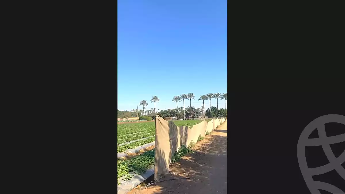 https://aqarmap.com.eg/en/listing/7319767-for-sale-cairo-el-mansuriyyah-el-saliba
