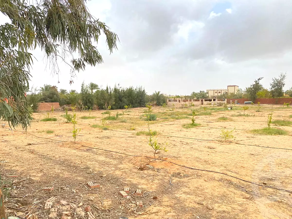 https://aqarmap.com.eg/ar/listing/7319857-for-sale-cairo-el-sheikh-zayed-city-lshykh-zyd-ljdyd-el-reef-el-oroby
