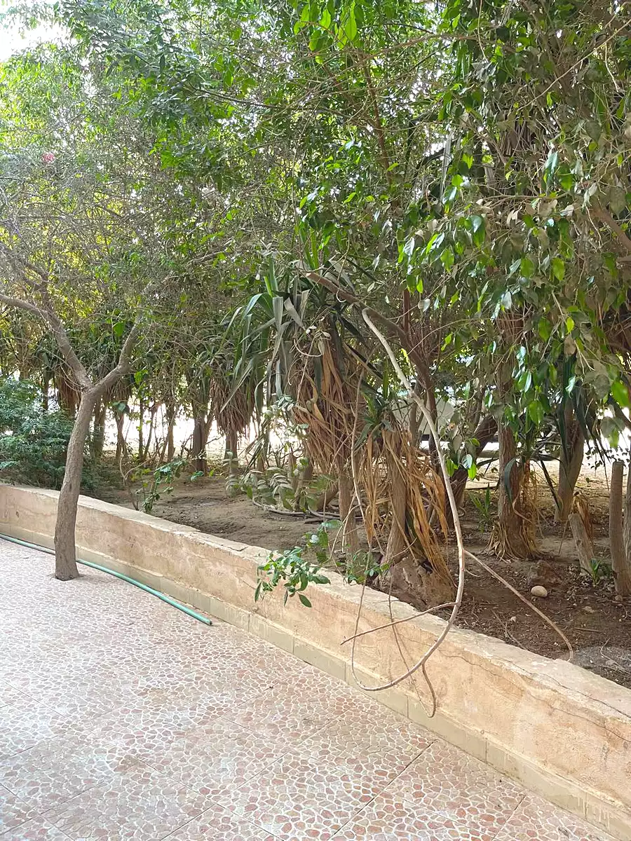 https://aqarmap.com.eg/en/listing/7321905-for-sale-cairo-6th-of-october-el-ahyaa-neighborhood-2nd