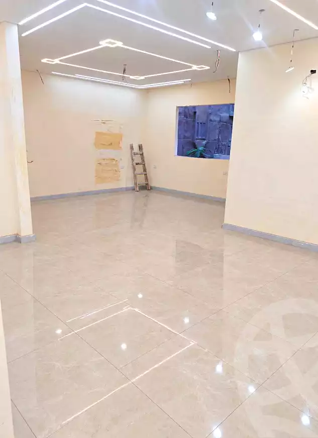 https://aqarmap.com.eg/en/listing/7323869-for-sale-cairo-faisal-el-maryotyah